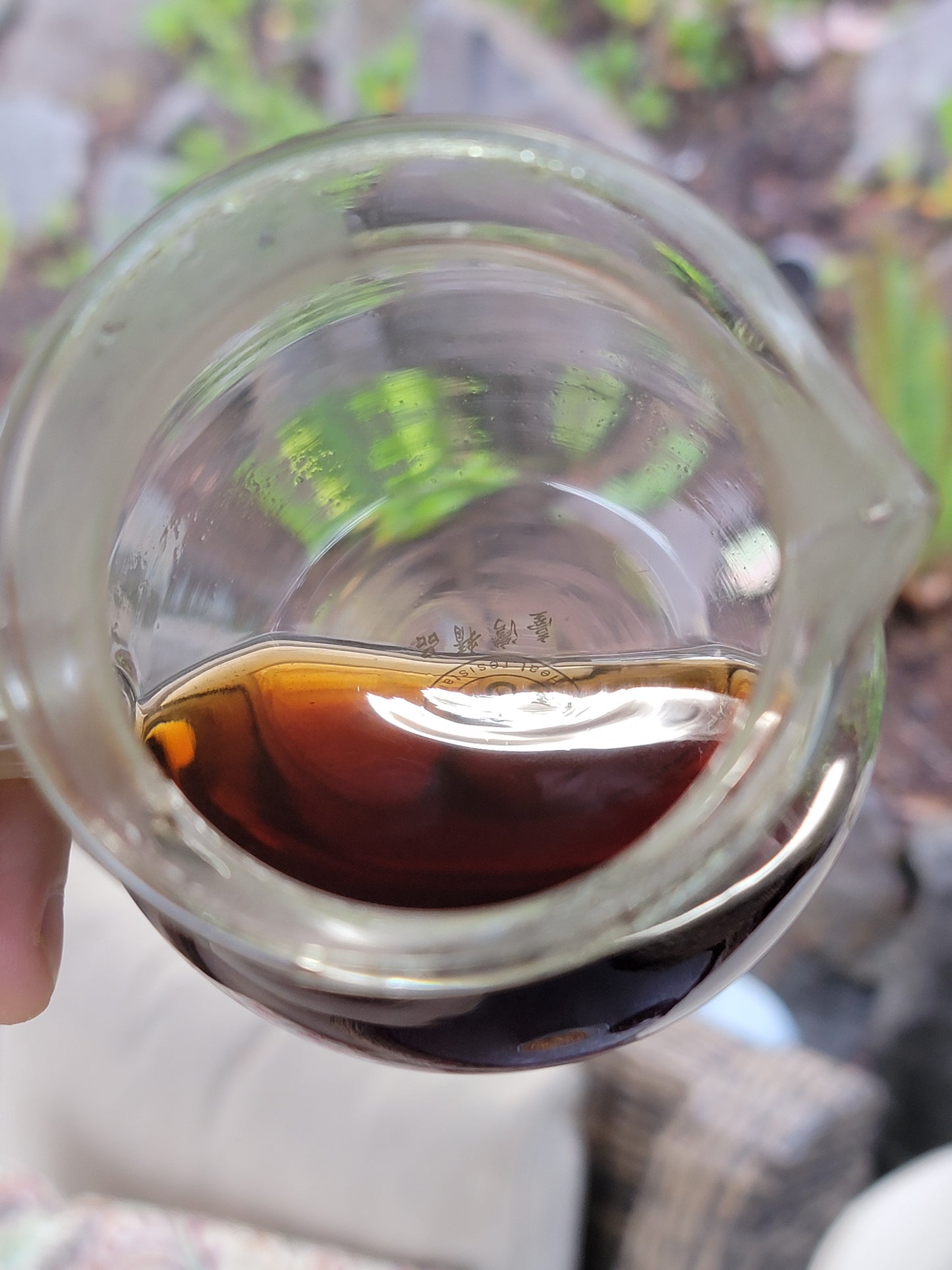 Matthew's Medicine - 1970s Wild Tree Taiwan Dry Aged Loose Leaf Sheng Puerh