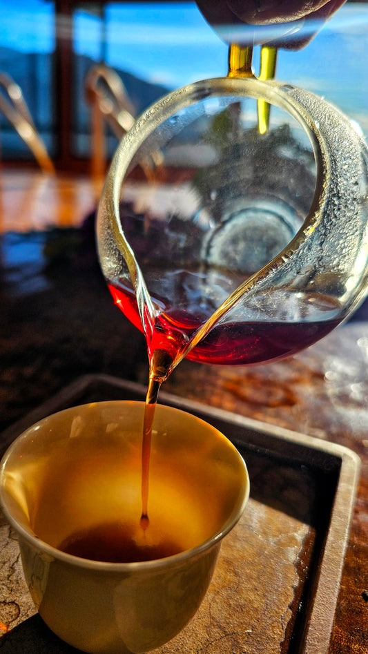 Explore four exceptional Shu Puerh teas dry-aged in Ipoh, Malaysia. Includes Forest Sage, Daily Bread, The Teacher & The Heart Sutra. Deep, clean, and rare.