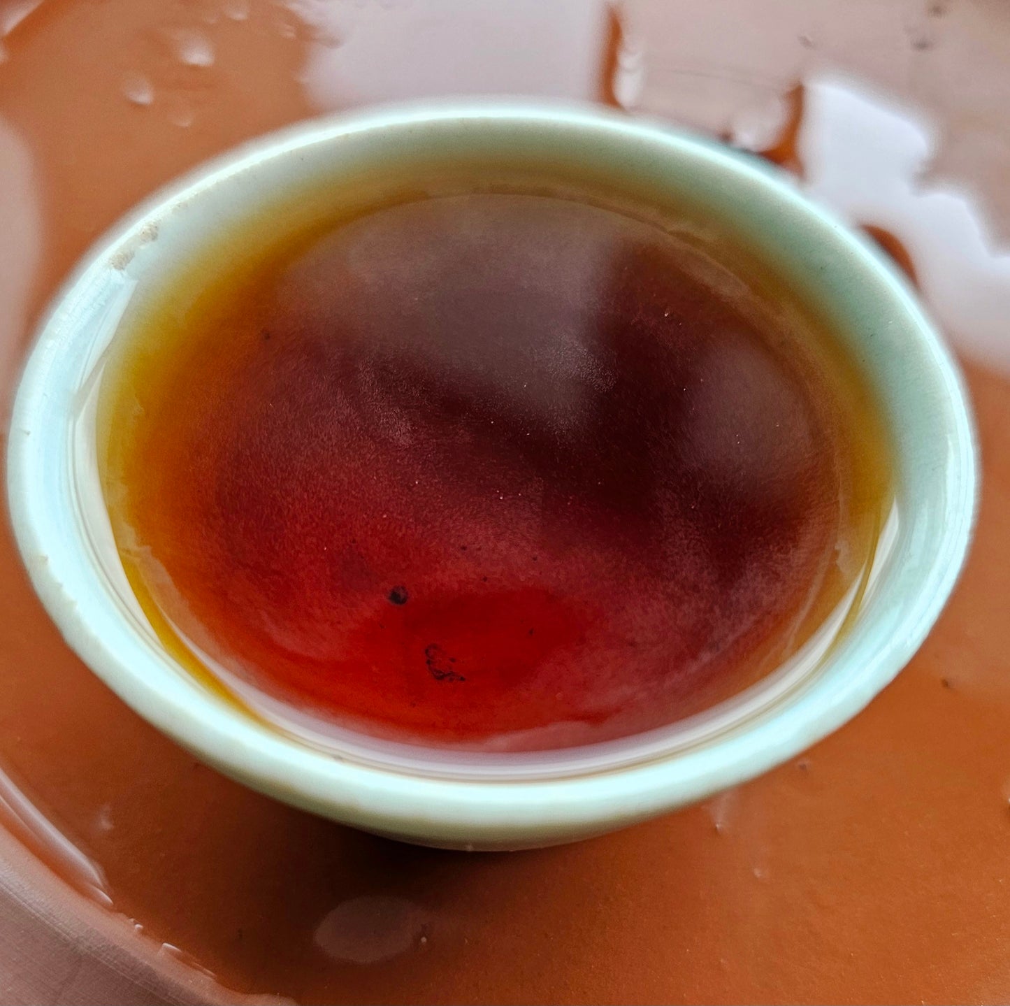 1990s Sheng Puerh dry-aged in Malaysia. Smooth, ginseng-rich liquor with deep huigan and grounding qi. A vintage treasure from Bai Zhang Wang.