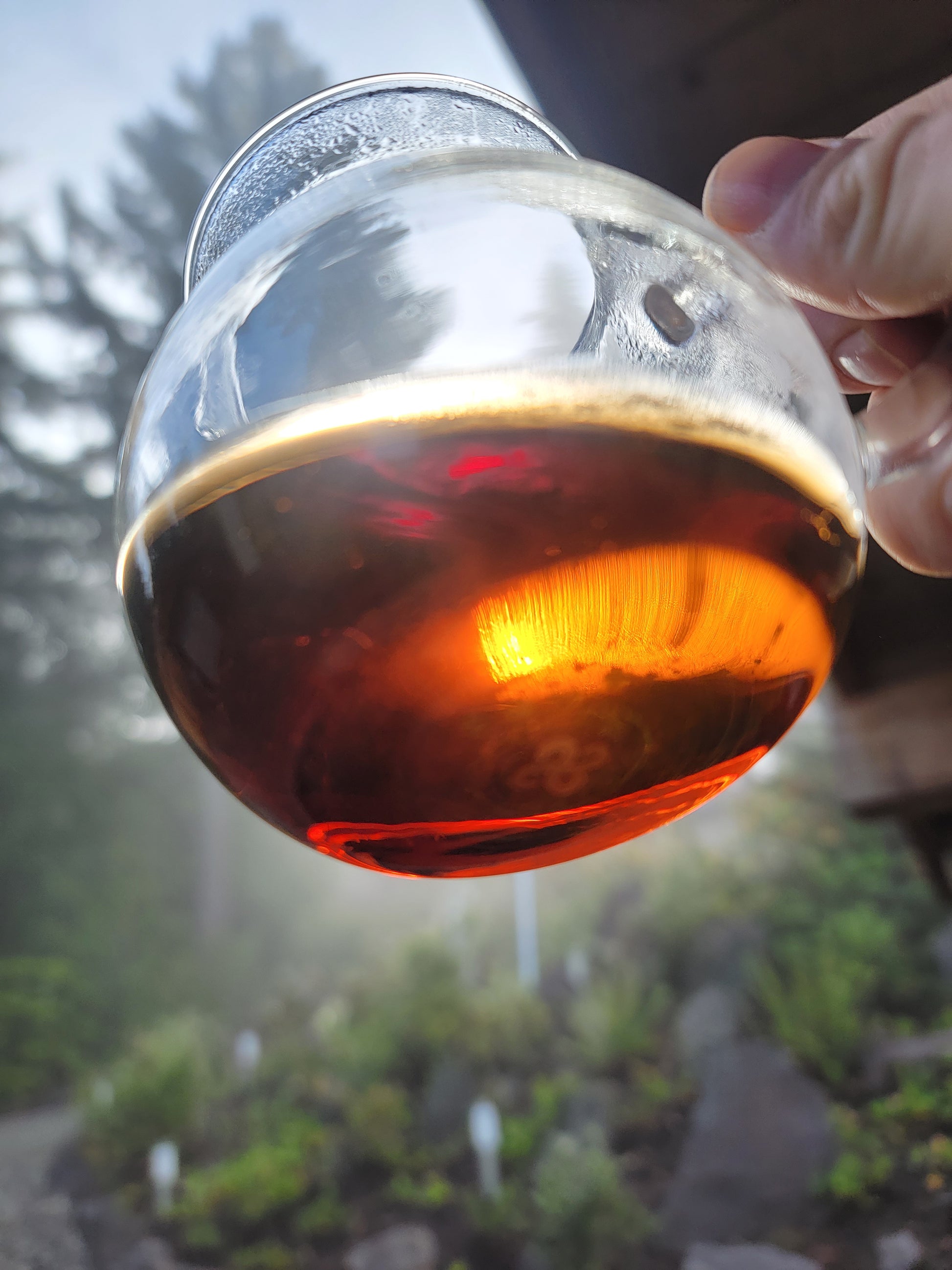 Intentionally composed for meditation, ritual, and rest. These teas carry wisdom from the mountain to your mat.