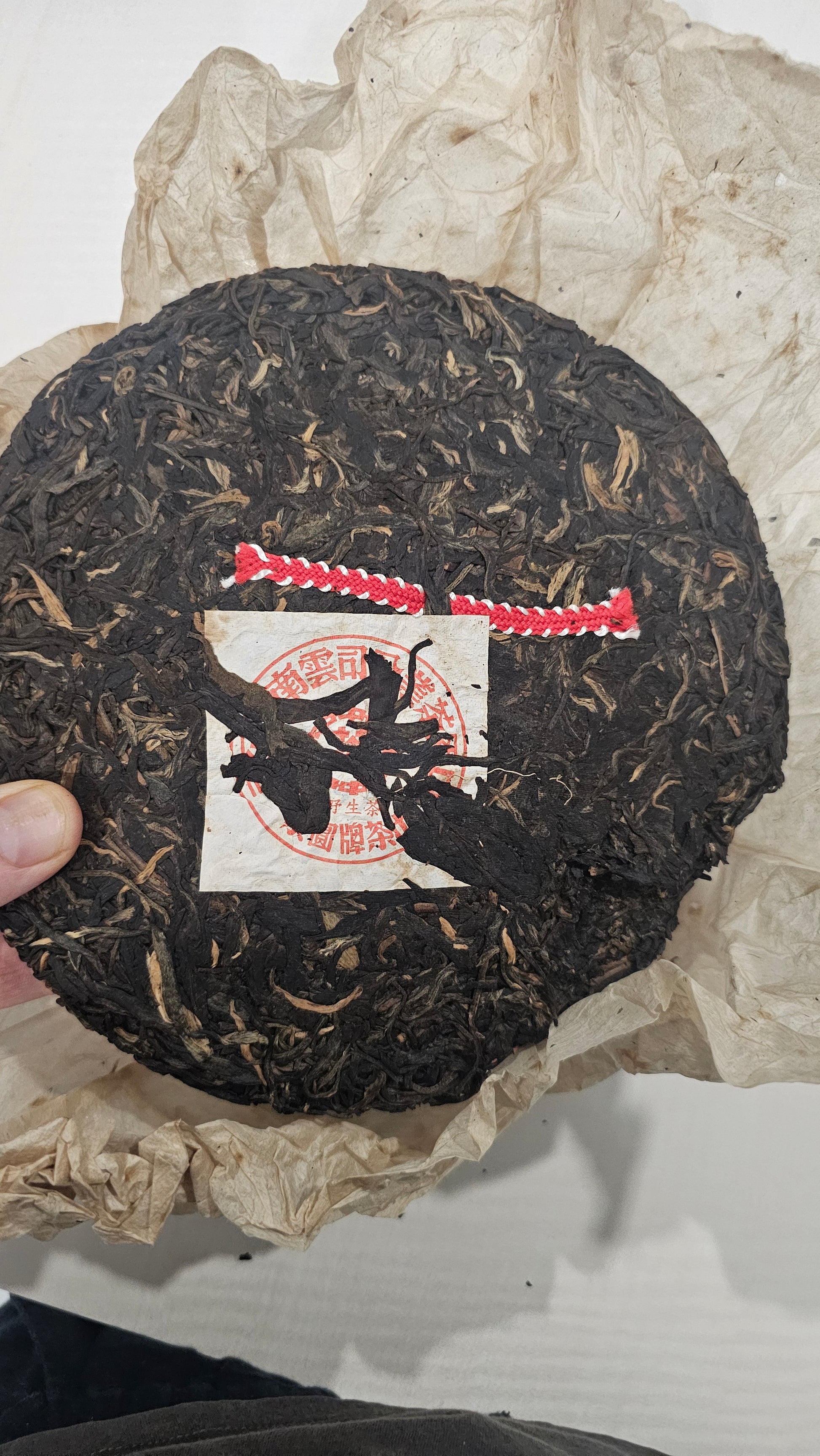 Pressed 1990s Gushu Sheng puerh with red ribbon and aged leaf pattern