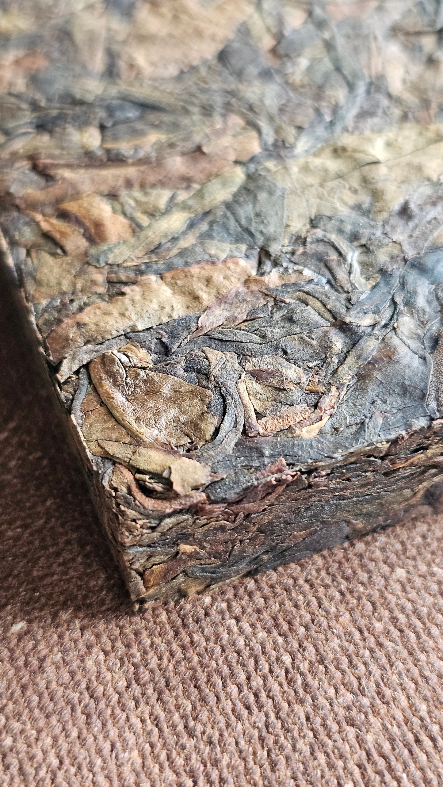 Fire on the Mountain - 2015/17 Large Leaf/Huang Pian Yiwu Sheng Puerh - Singapore Storage