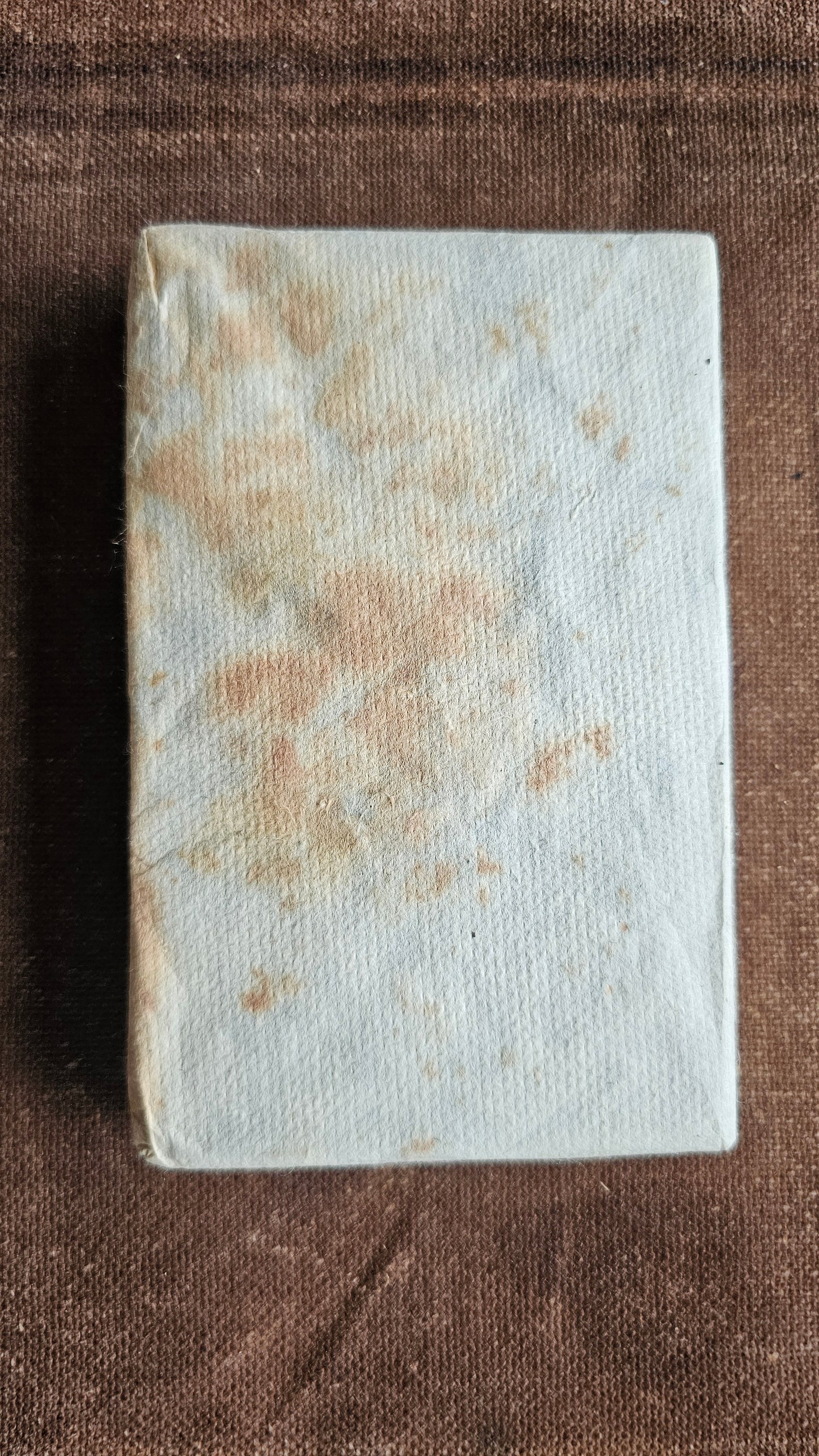 Fire on the Mountain - 2015/17 Large Leaf/Huang Pian Yiwu Sheng Puerh - Singapore Storage
