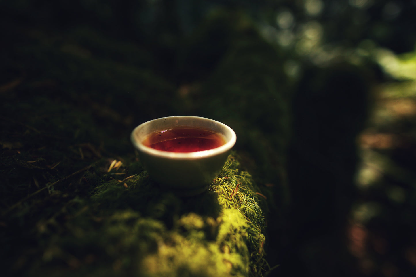 "Wild Mountain Red" 2025 Ancient Tree Red Tea (Newly Accessed Forest) - Vietnam