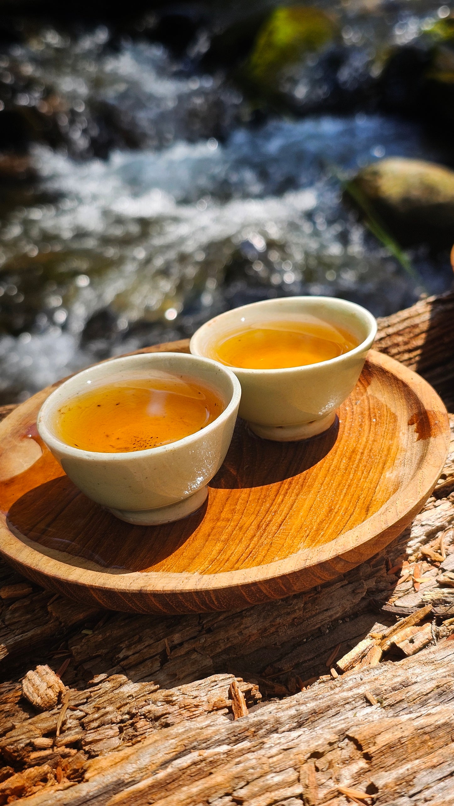 "Sky Temple" - 2018 Autumn Single Tree Ancient Tree Feng Qing Sheng Puerh (Tree # 1 and #2 )