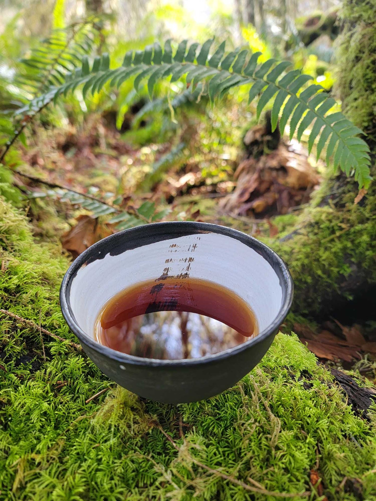 Bodhi - Early 1990's Dry Taiwan Aged Gong Ting Loose Leaf Shu Puerh