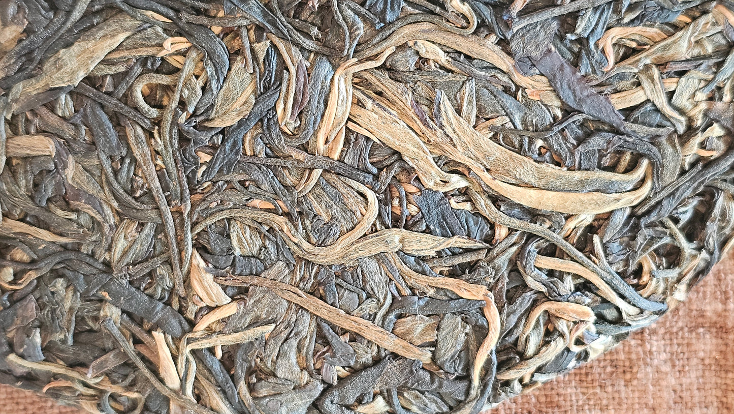 Pressed Sheng Puerh with large leaf texture from ancient material
