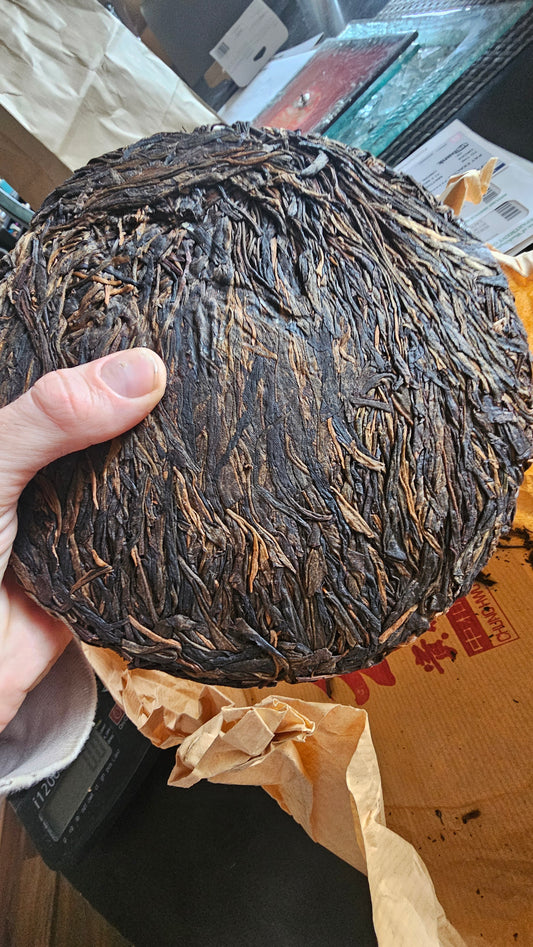 Pressed 2004 Chung Hwu Sheng tea cake aged in traditional clay urn