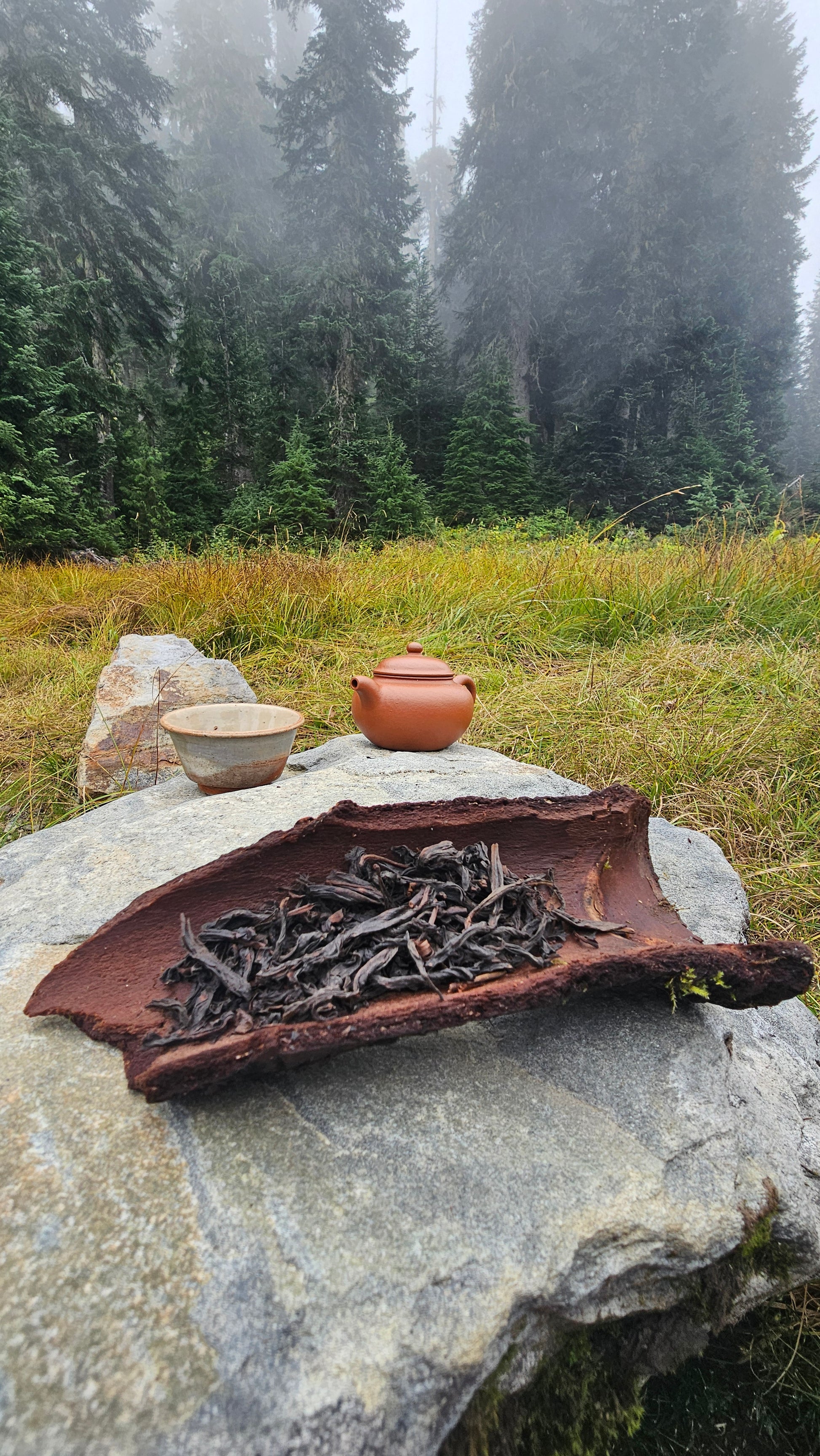 This cliff-grown Rou Gui is fiery, grounding, and aromatic. High Grade Wuyi oolong with a toasted mineral profile and deep body warmth.