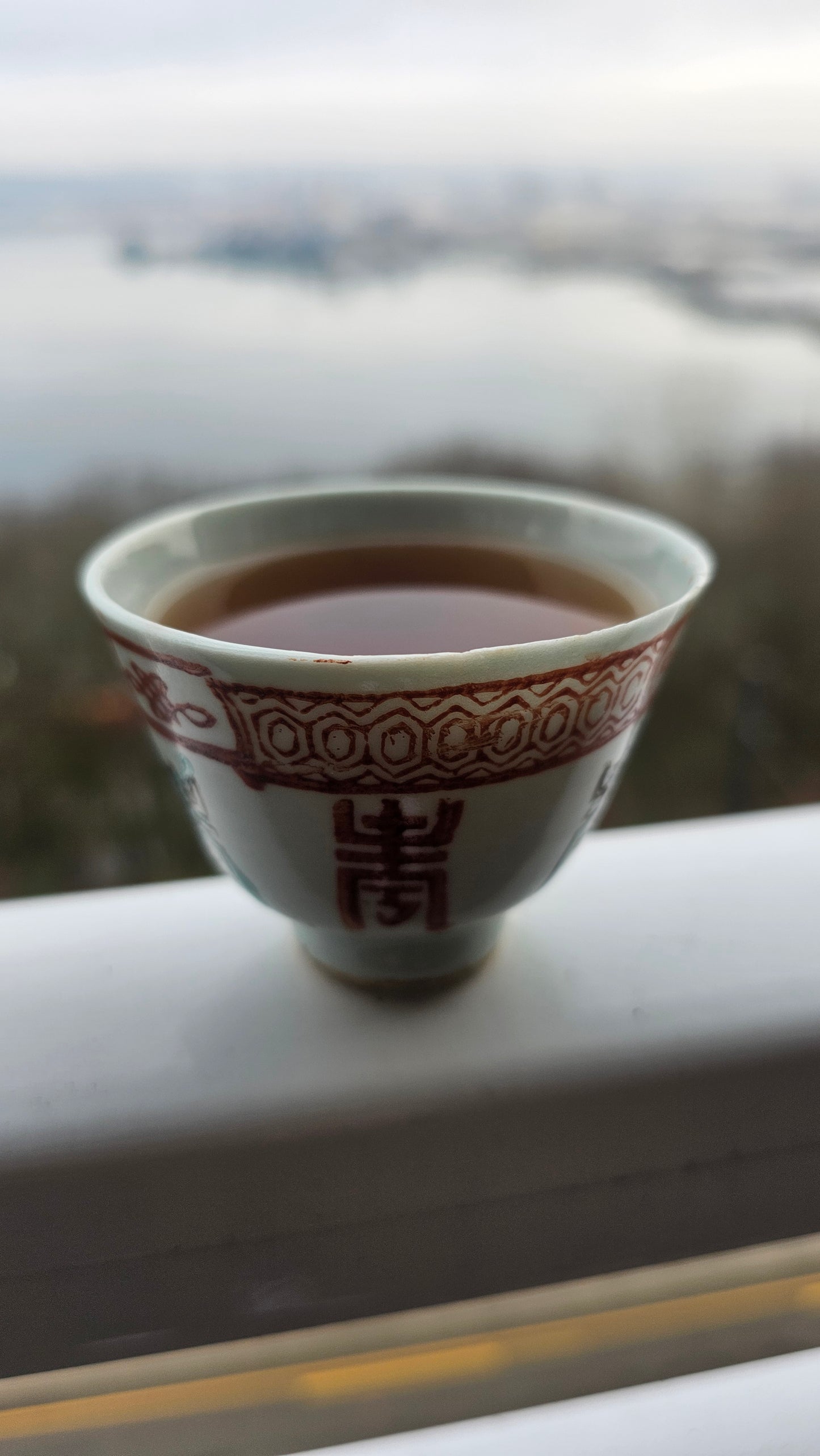 A powerful Wuyi rock oolong with structured spice and roasted edge. Rou Gui delivers cinnamon bark and lingering warmth.

