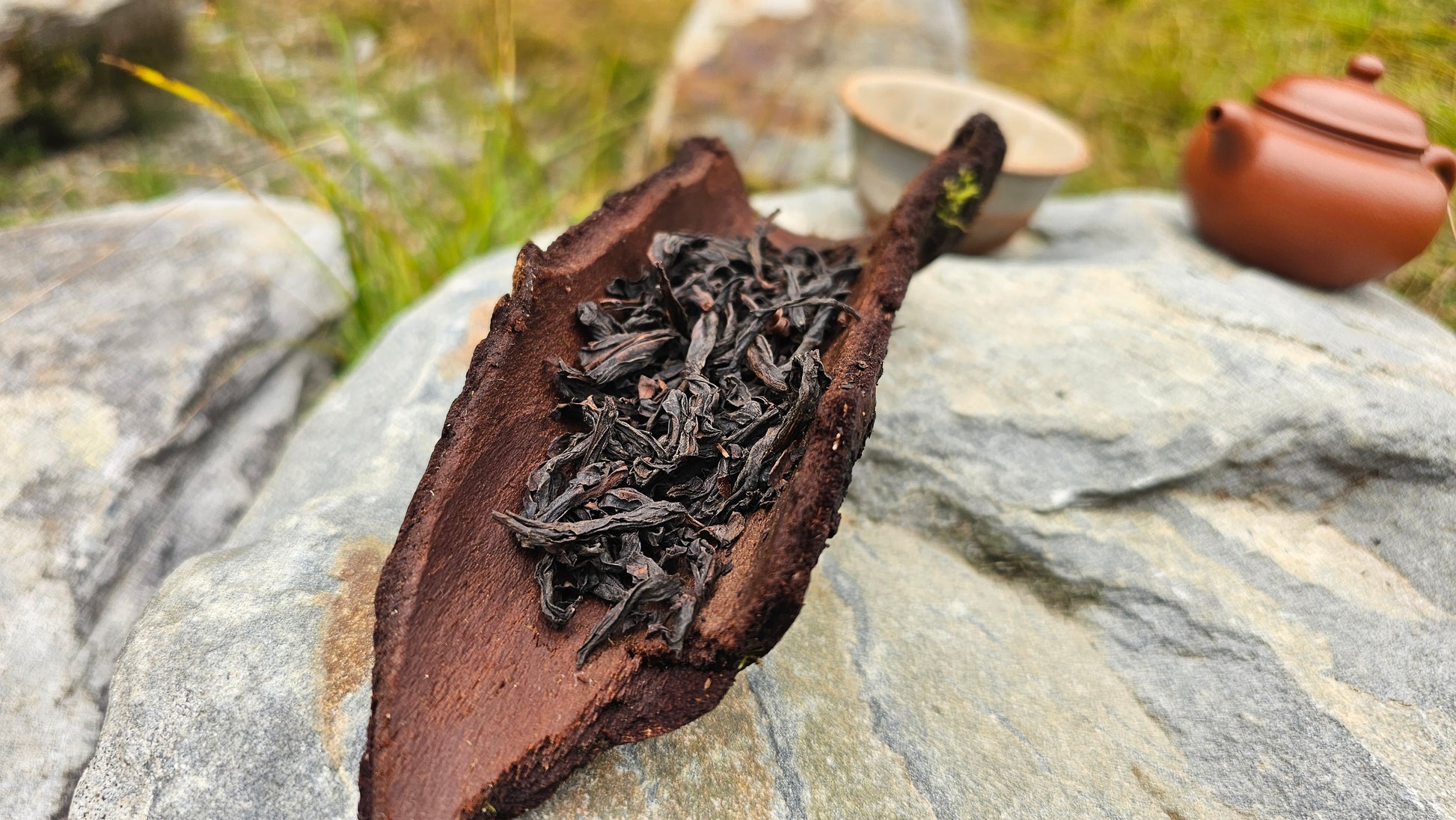 A high elevation Rou Gui oolong grown in Wuyi’s rocky terrain. Expect cinnamon, cocoa, and clean minerality in every layered steep.
