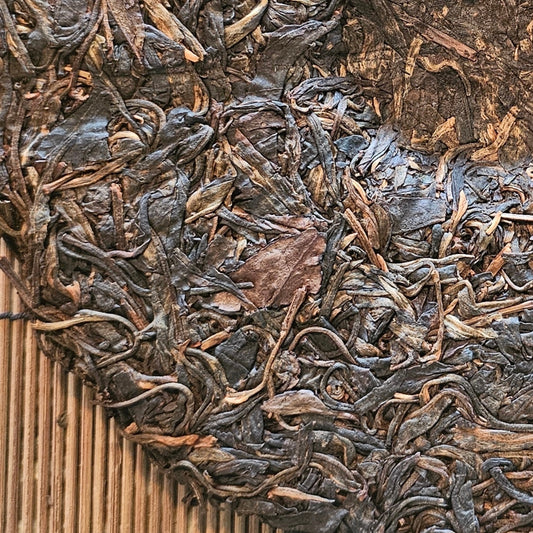 Aged 2005 Yiwu Sheng tea cake from ancient trees with clear surface patina
