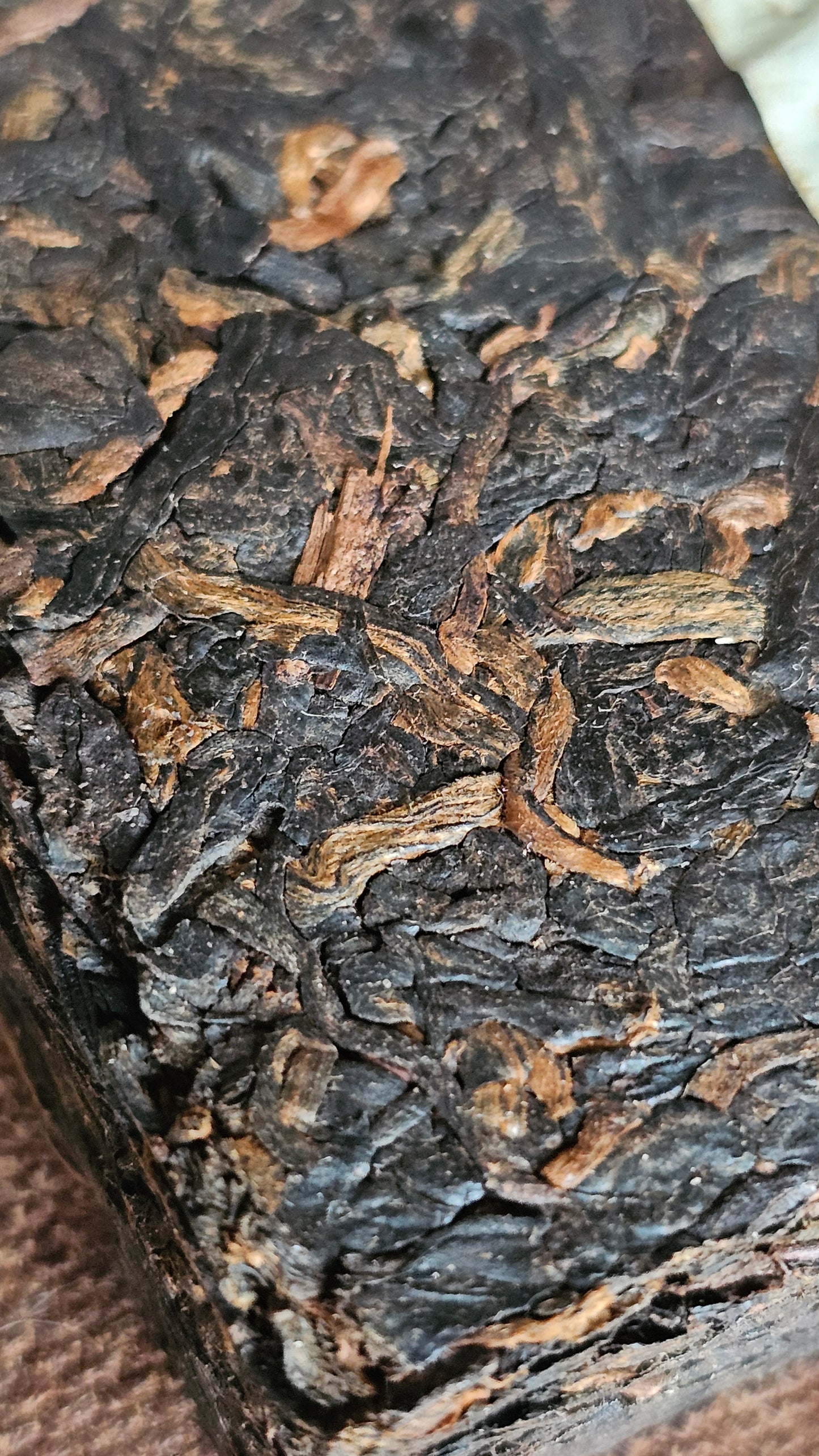 "Honey Medicine Aroma" Mid 1990s Menghai Shu Puerh Brick - Singapore Storage