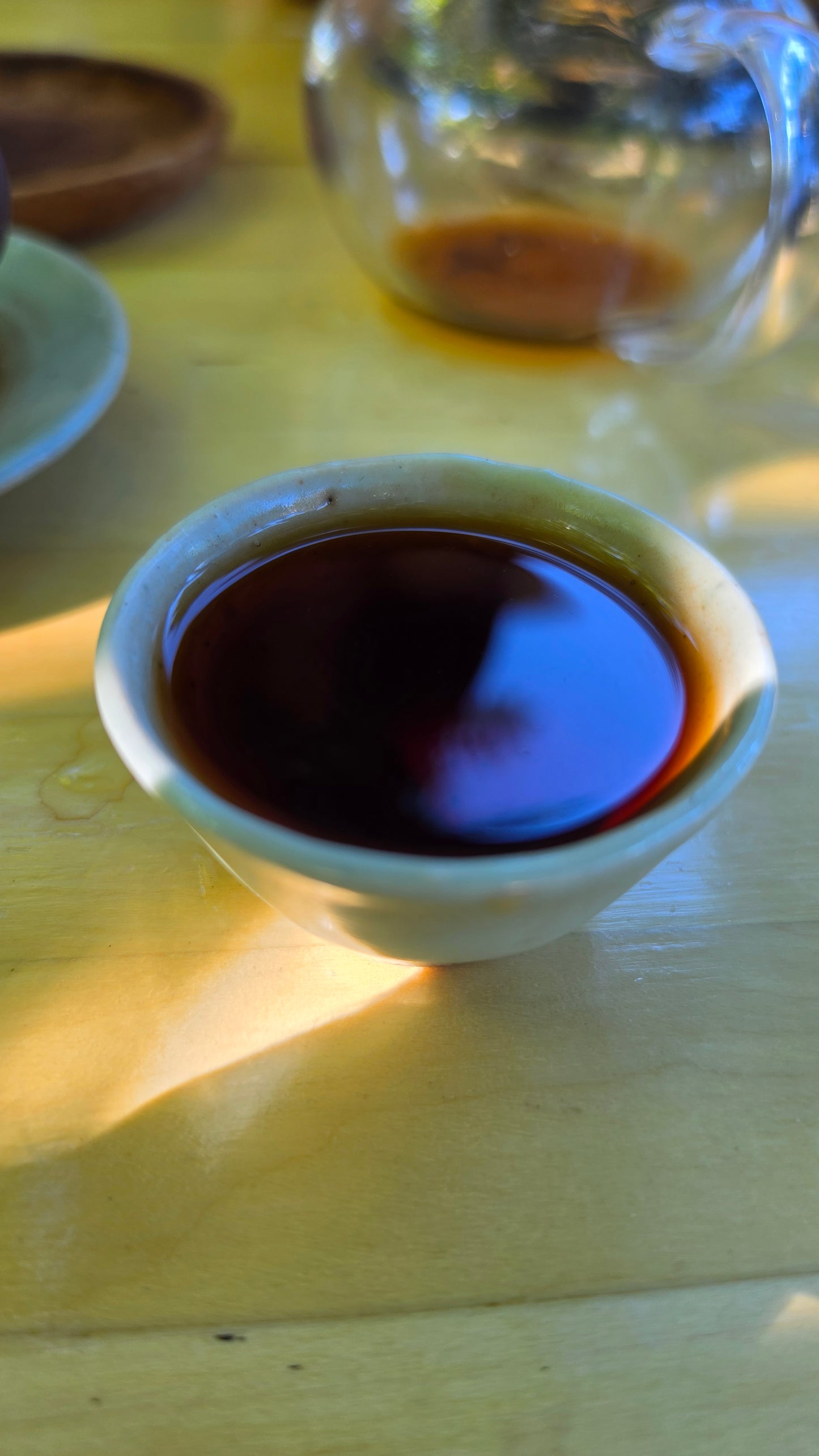 'Deep Forest Incense' - 2018 Yiwu Zhengshan Wild Tree Shu Puerh - Dry Malaysia Aged