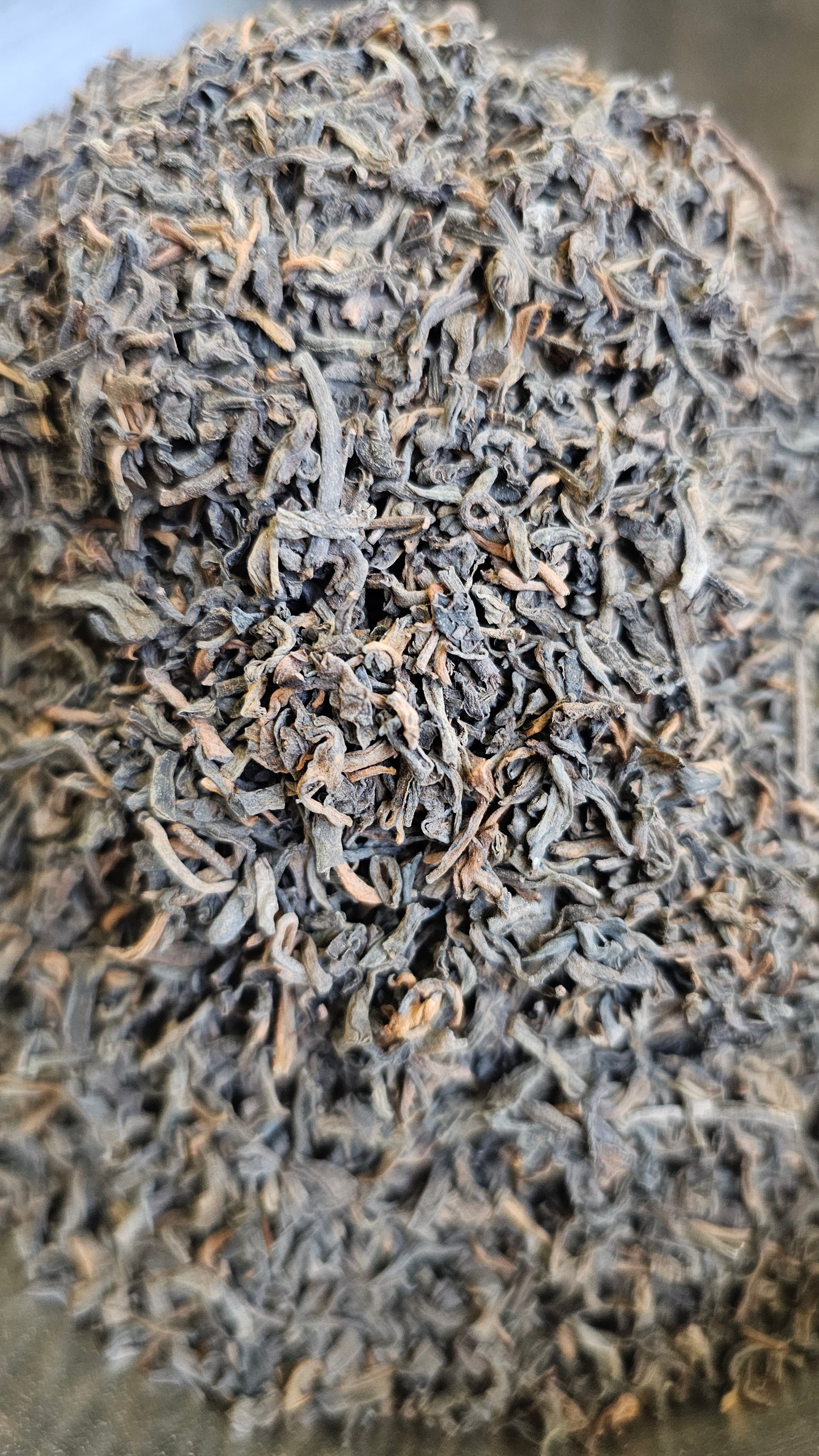 Bodhi - Early 1990's Dry Taiwan Aged Gong Ting Loose Leaf Shu Puerh