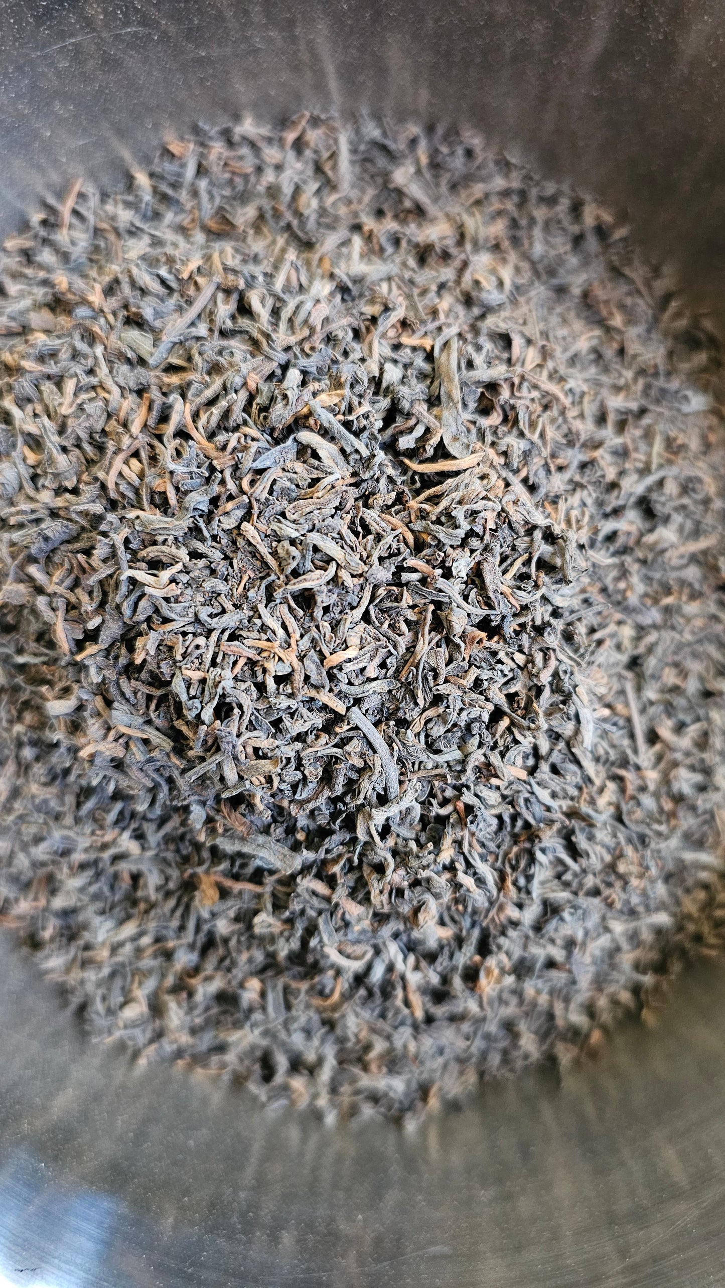 Bodhi - Early 1990's Dry Taiwan Aged Gong Ting Loose Leaf Shu Puerh