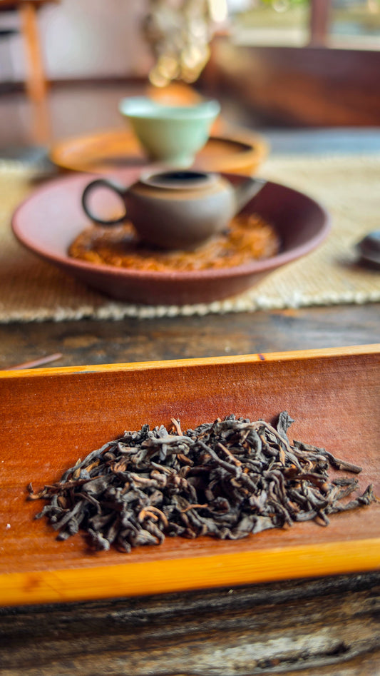 "Gelato" - 1980s Private Reserve Hong Kong Dry Storage Shu Puerh
