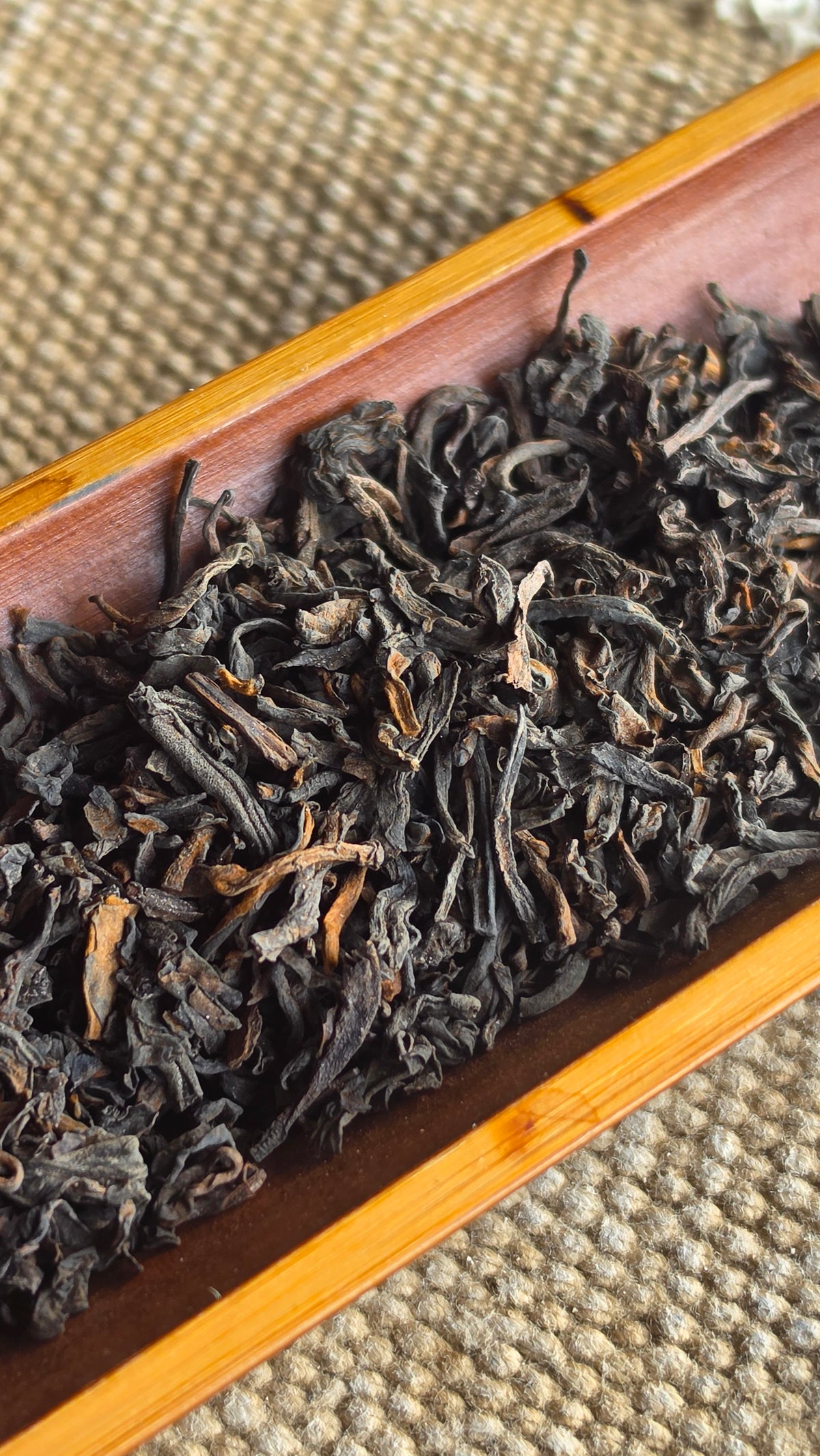 "Gelato" - 1980s Private Reserve Hong Kong Dry Storage Shu Puerh