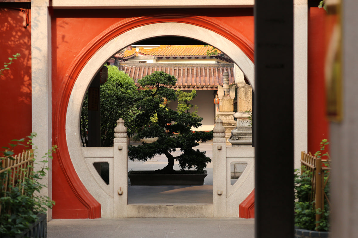 "Enveloping Wave" - 1970s Liu Bao