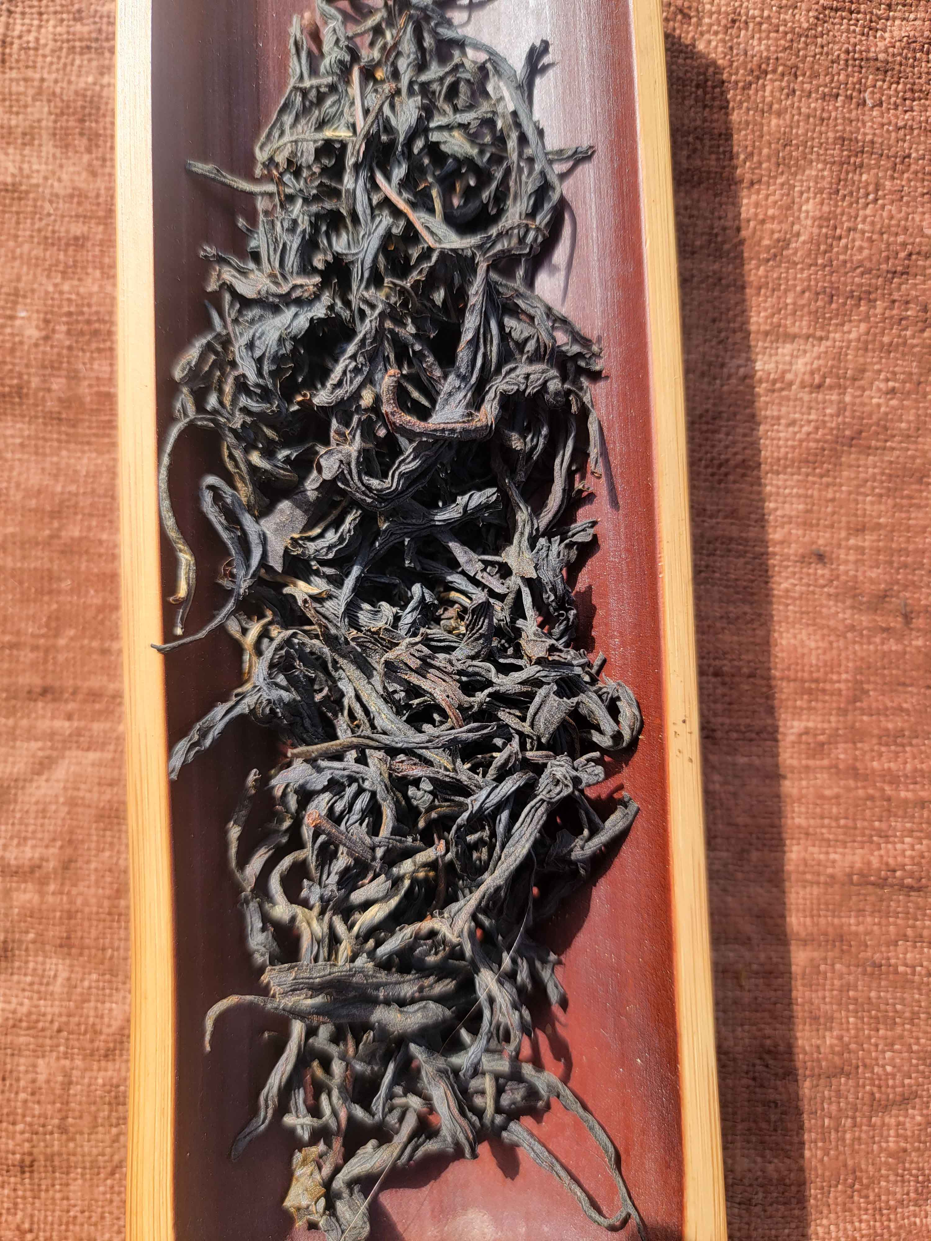 Redshank Tree Tea 2021 Wild Tree Red Tea - Sun Moon Lake, Taiwan – Puerh Medicine