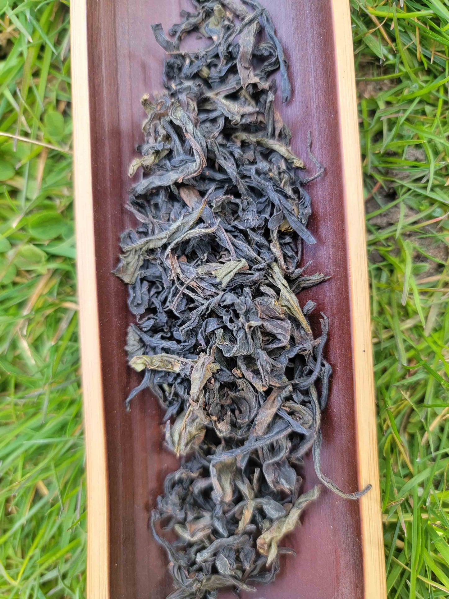 Wild Tree Da Hong Pao - Wuyi Rock Oolong